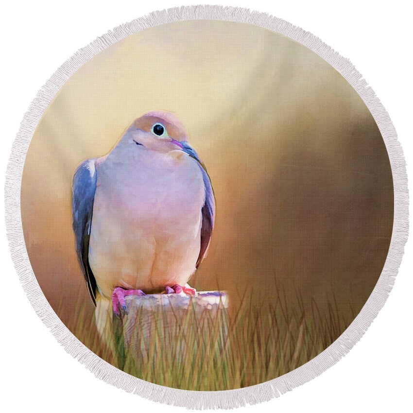 Dove Round Beach Towel featuring the photograph Mourning Dove Painted Portrait by Cathy Kovarik