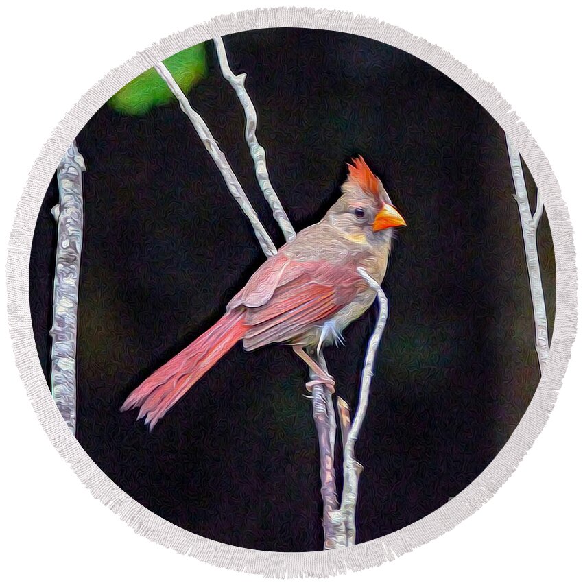 Nature Round Beach Towel featuring the painting Female Cardinal by DB Hayes