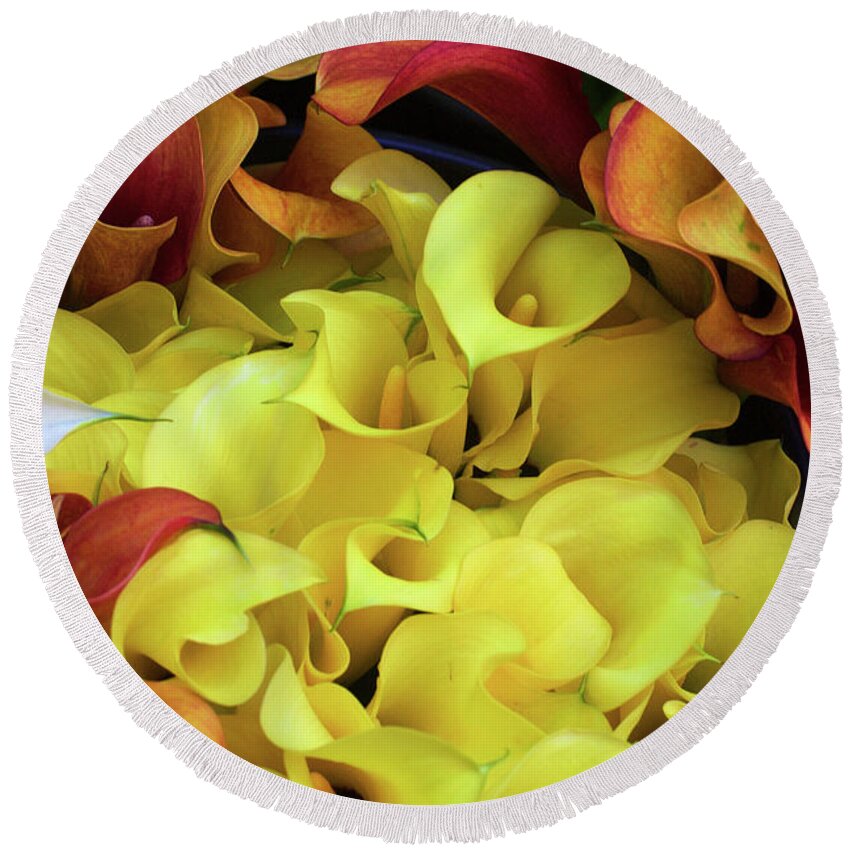 Backgrounds Round Beach Towel featuring the photograph Multicolored Calla Lillies by Bruce Block