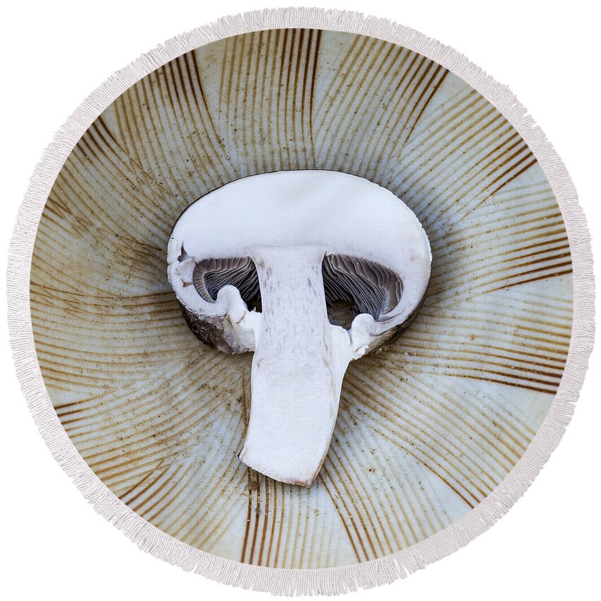 Mushroom Round Beach Towel featuring the photograph Mushroom in Suribachi by Shawn Jeffries