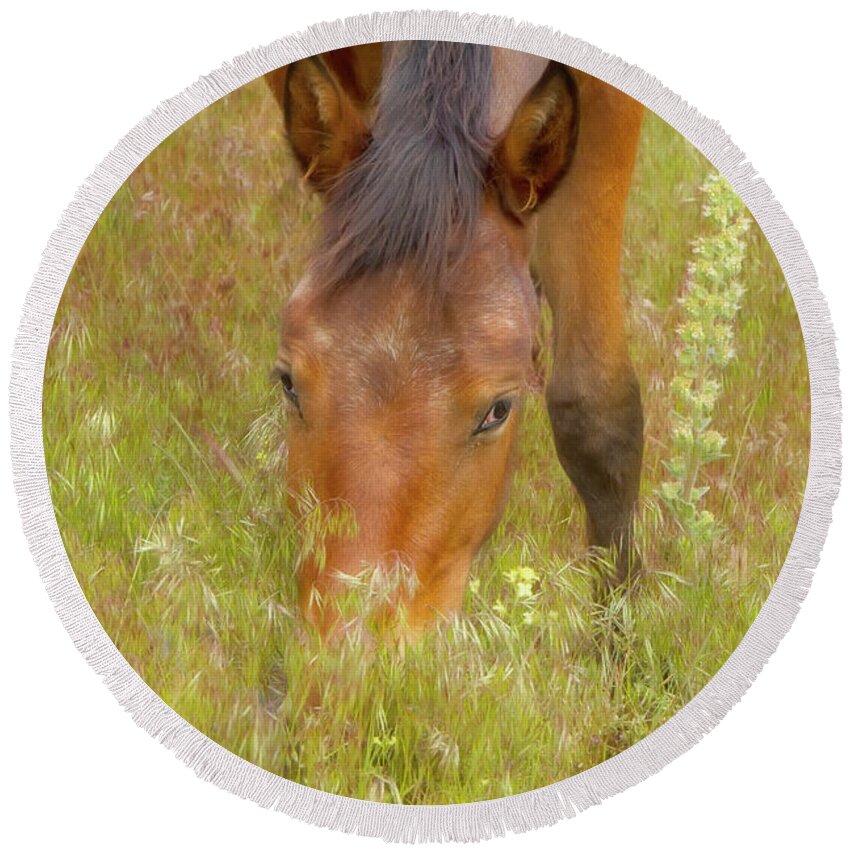 Horse Round Beach Towel featuring the photograph Mustang in the Grass by Waterdancer