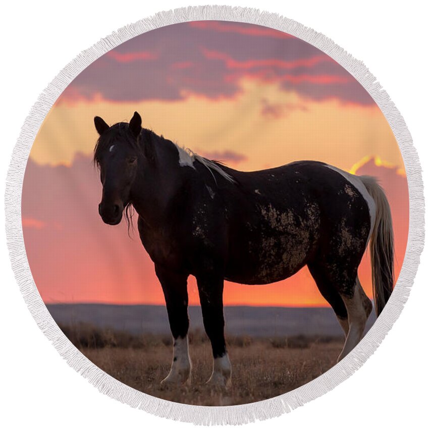 Mustang Round Beach Towel featuring the photograph Mustang Sunset by Jack Bell