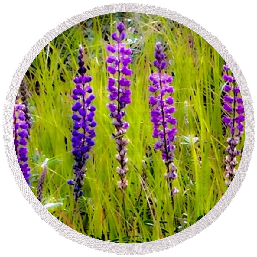 Lupines Round Beach Towel featuring the photograph My Five Lupines by Jennifer Lake