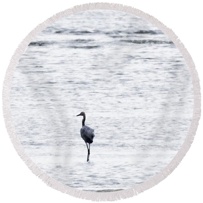 Coastal Birds Round Beach Towel featuring the photograph My Sea by Jan Gelders