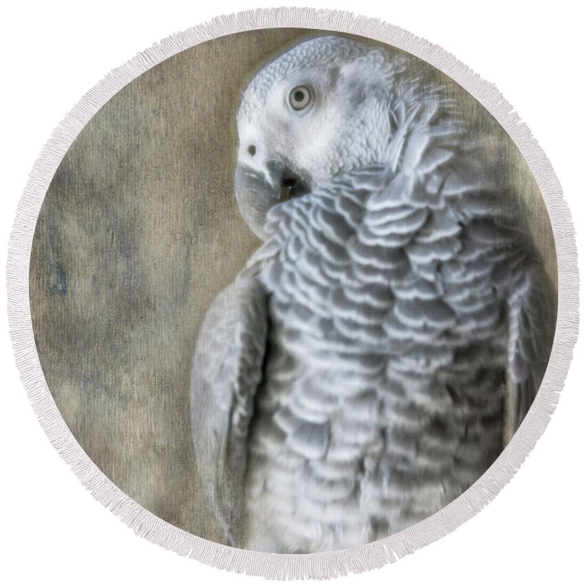 African Grey Round Beach Towel featuring the photograph Mysterious Parrot by Jennifer Grossnickle