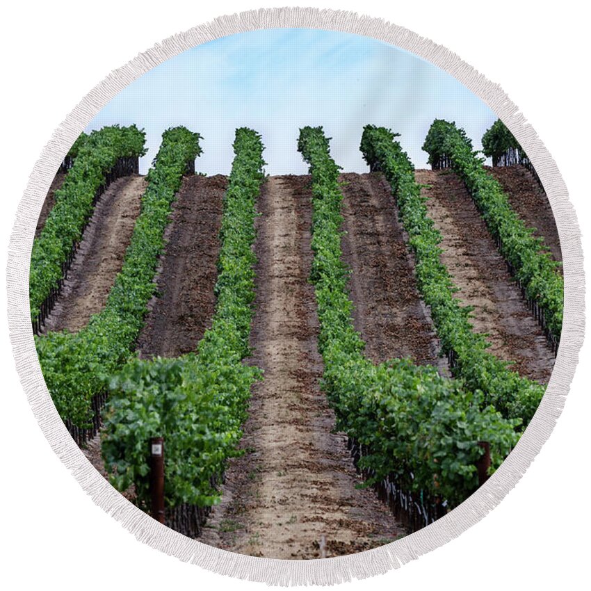Napa Round Beach Towel featuring the photograph Napa Vineyards by Judy Wolinsky