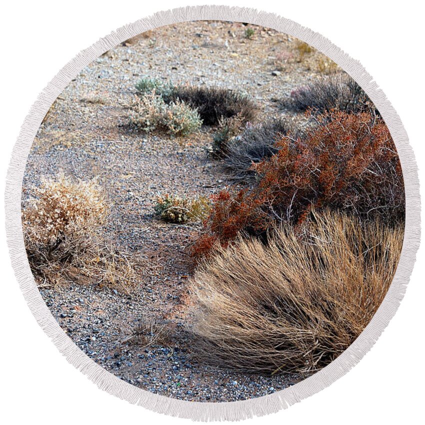 Sage Brush Round Beach Towel featuring the photograph Natures Garden - Utah by DArcy Evans