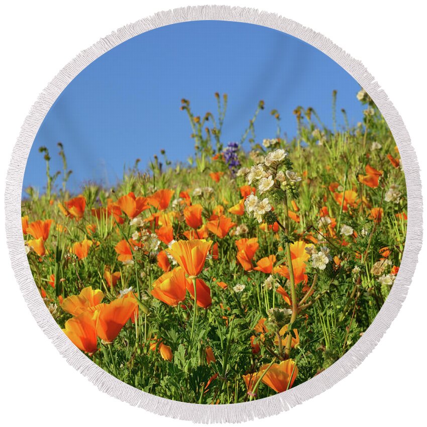 Poppy Round Beach Towel featuring the photograph Nature's Garden of Golden Poppies by Kathy Yates