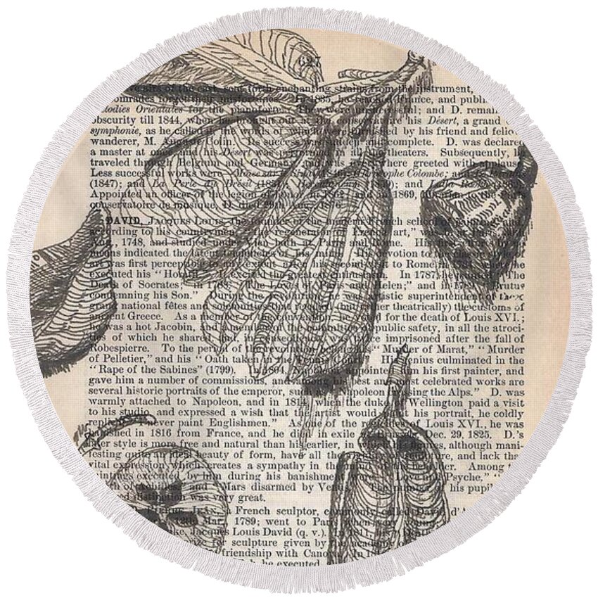 Seed Pods Round Beach Towel featuring the painting Seed Pods Drawn on Antique Pages 1884 Cycopedia by Maria Hunt