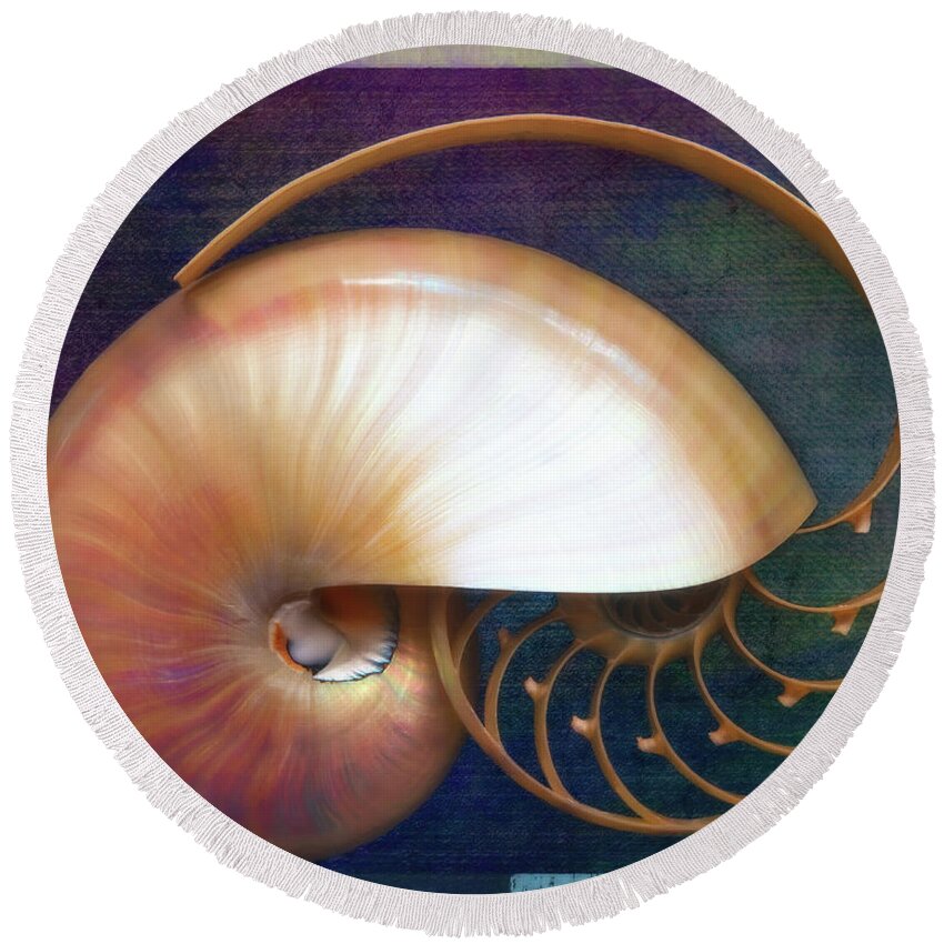 Fine Art Photography Round Beach Towel featuring the photograph Nautilus #2, Overarching by John Strong