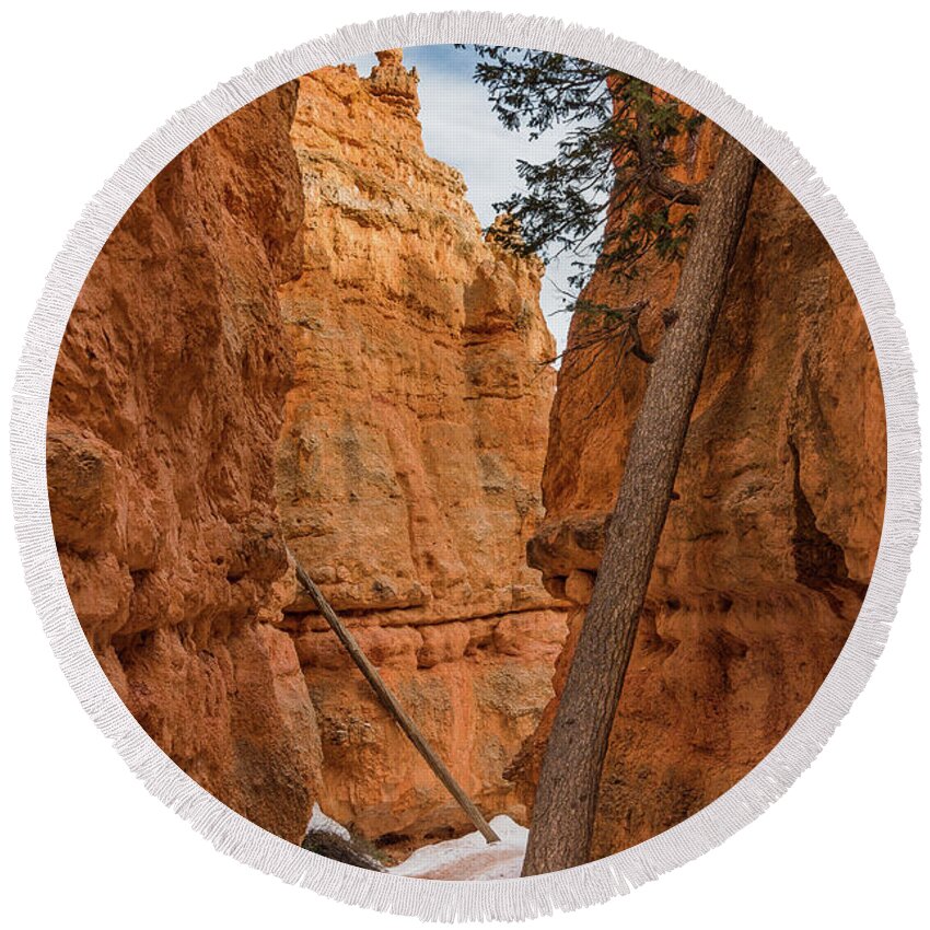 Bryce Canyon National Park Round Beach Towel featuring the photograph Navajo Trail Tree by Greg Nyquist