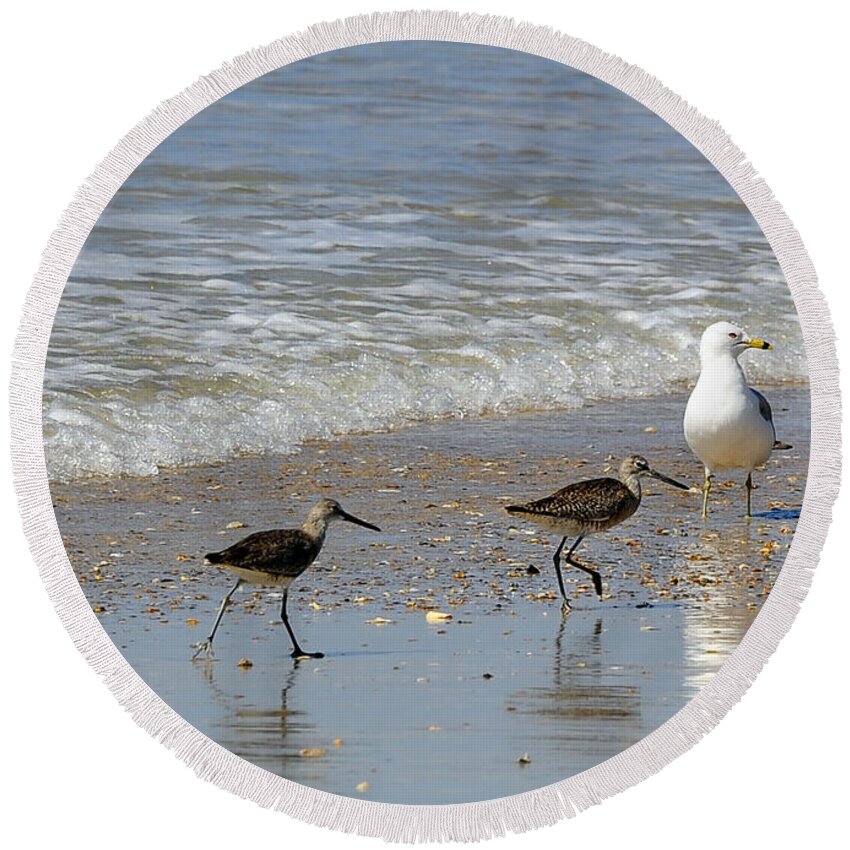 Birds Round Beach Towel featuring the photograph Outer Banks OBX #11 by Buddy Morrison