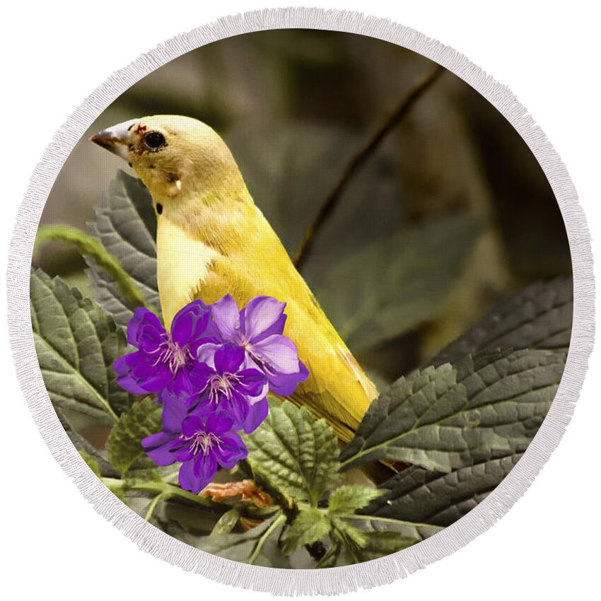 Flowers Round Beach Towel featuring the photograph Nestled - Yellow Bird by Penny Lisowski