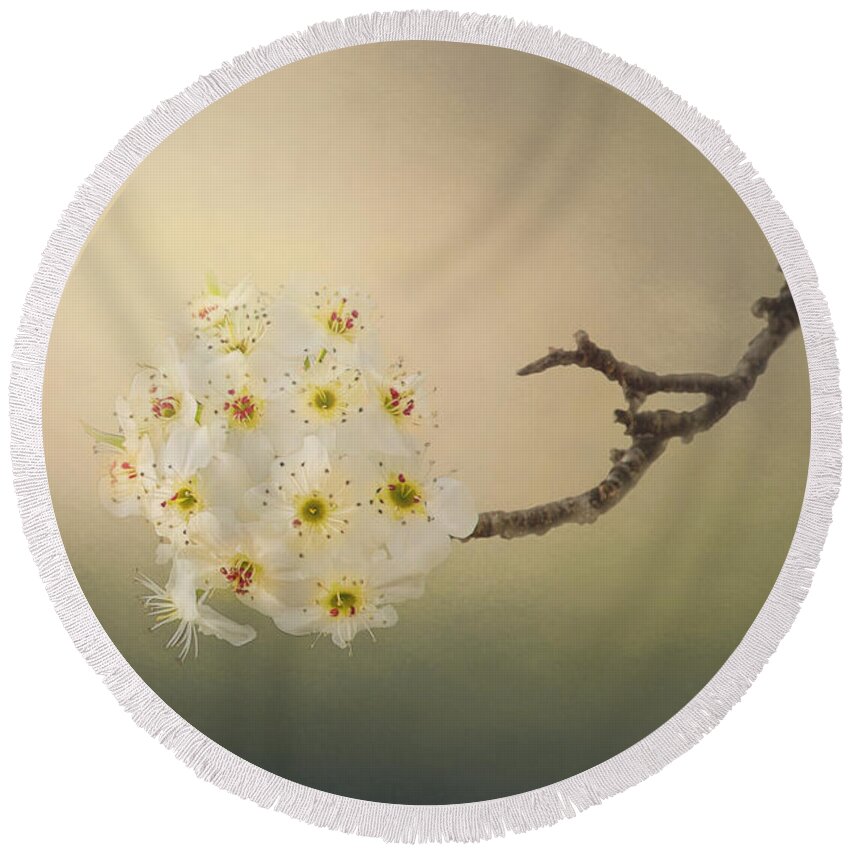 Bradford Pear Round Beach Towel featuring the digital art New Awakening by Sharon McConnell