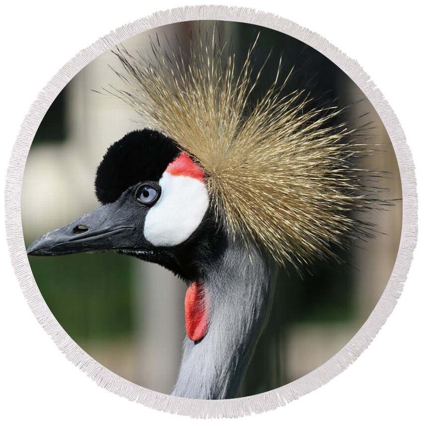 East African Crowned Crane Round Beach Towel featuring the photograph New Hairdo 7818 by Jack Schultz