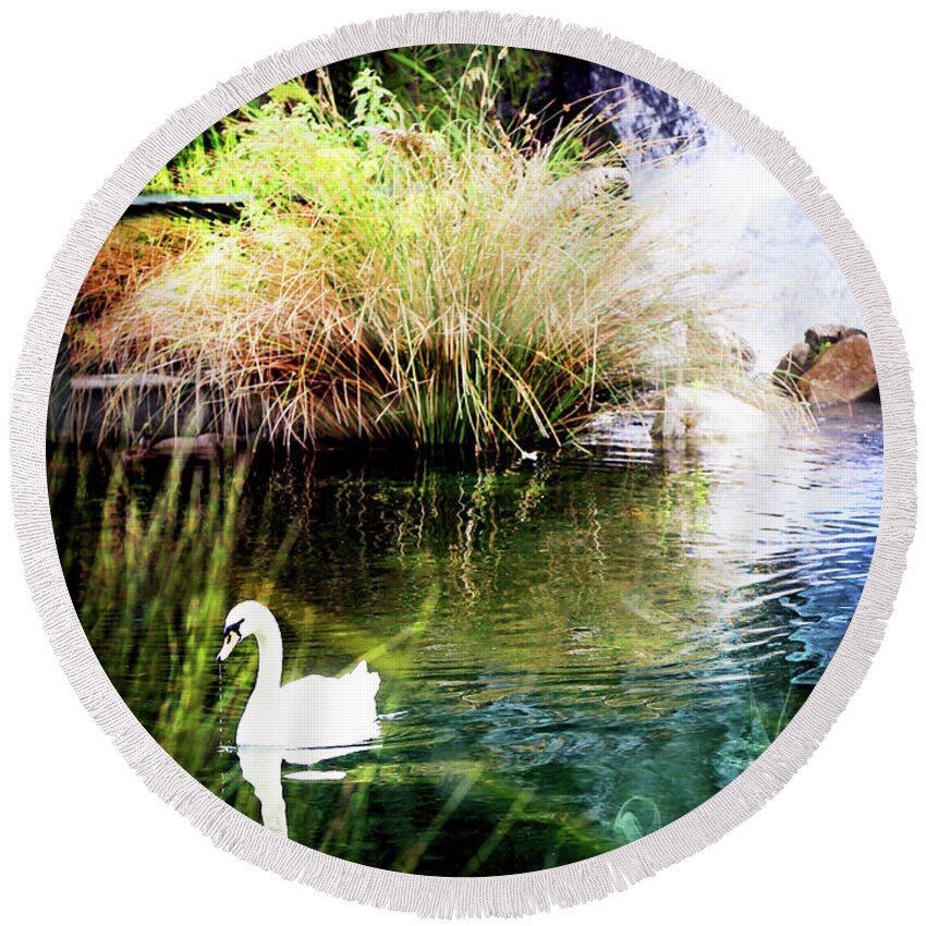 Swan Round Beach Towel featuring the photograph New Zealand Swan by Kathryn McBride