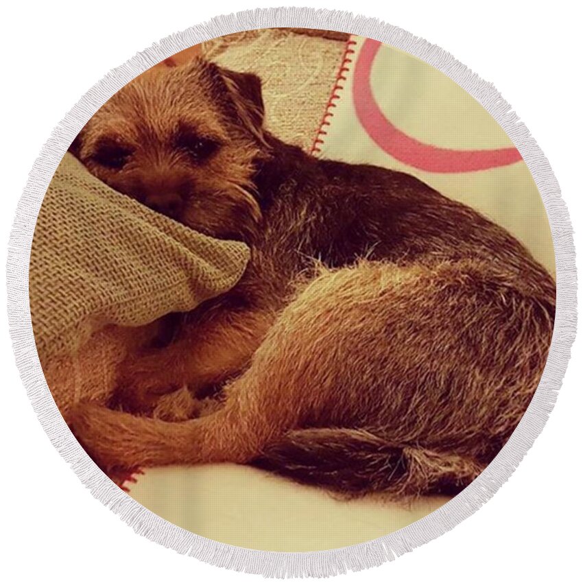 Dog Round Beach Towel featuring the photograph Snuggle Bug by Rowena Tutty