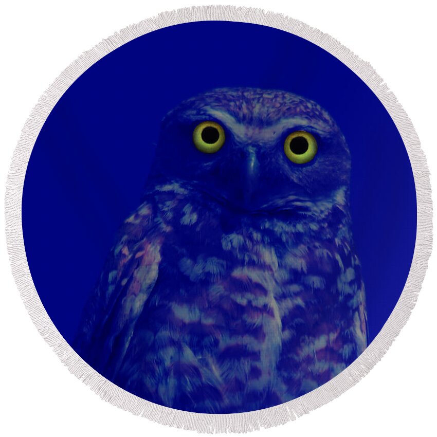 Owl Round Beach Towel featuring the photograph Night Stare by Shane Bechler
