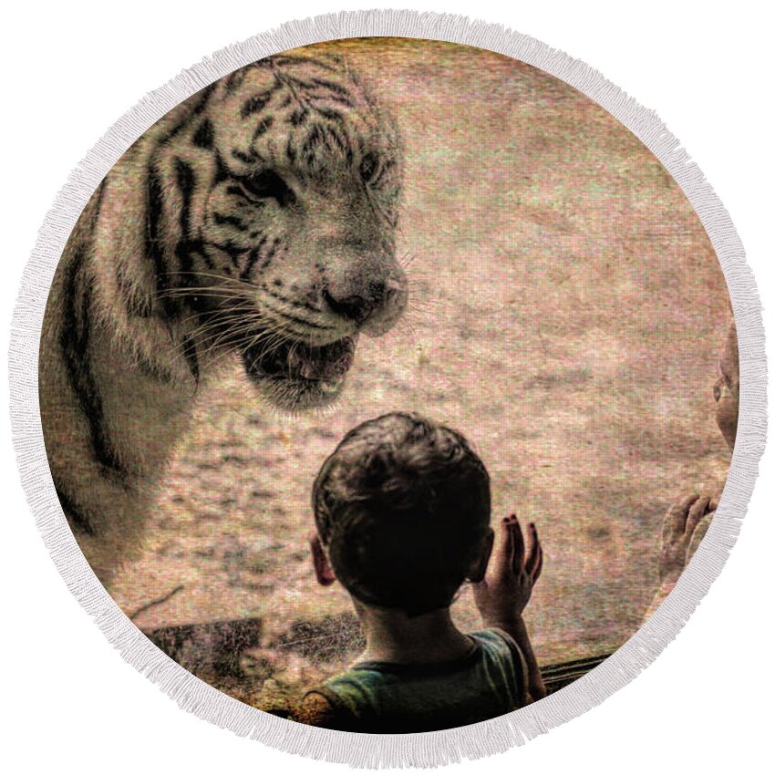 Tiger Round Beach Towel featuring the photograph No Fear by Jim Cook