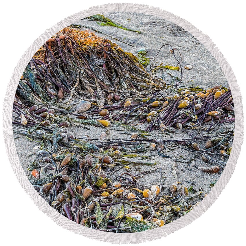 Cayucos Round Beach Towel featuring the photograph Cayucos State Beach Flotsam Abstract by Patti Deters