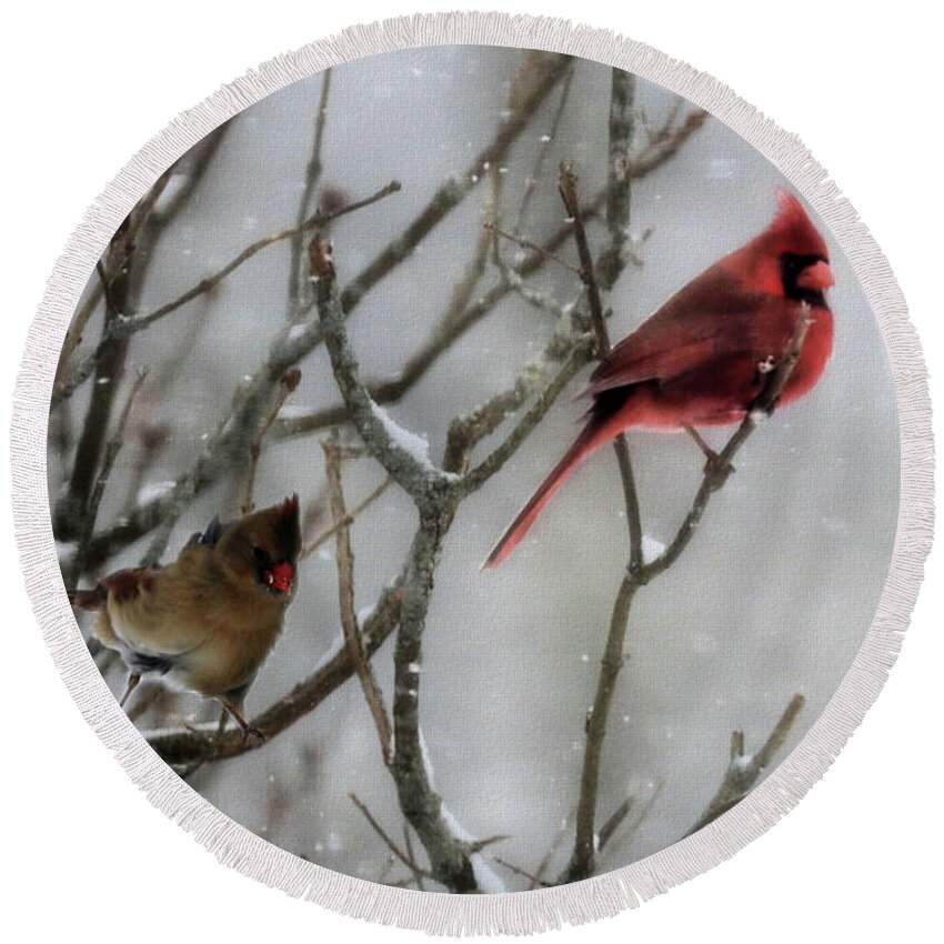 Animal Round Beach Towel featuring the photograph Northern Cardinals In A Snowstorm by Sandra Huston