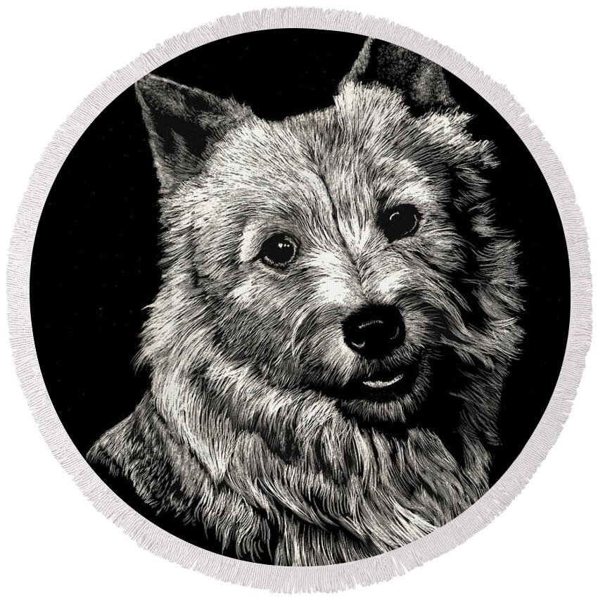 Norwich Round Beach Towel featuring the drawing Norwich Terrier by Rachel Bochnia