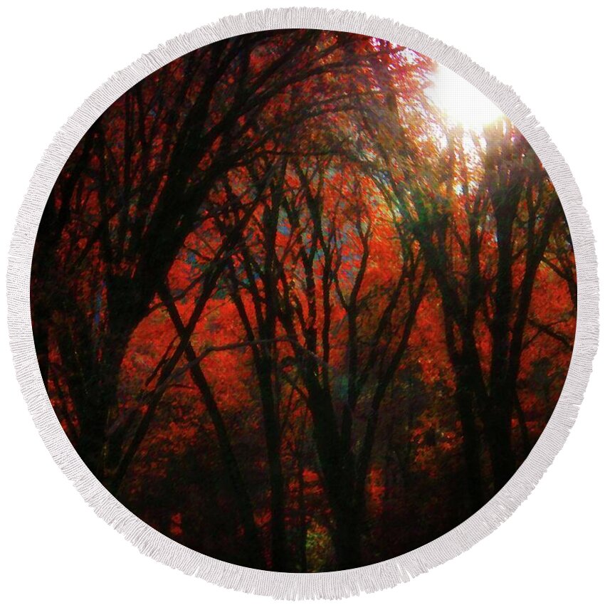 November Round Beach Towel featuring the photograph November Woods by Timothy Bulone