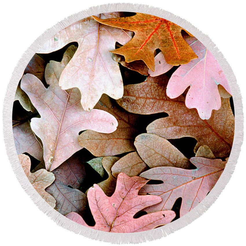 Oak Round Beach Towel featuring the photograph Oak Leaves Photo by Peter J Sucy