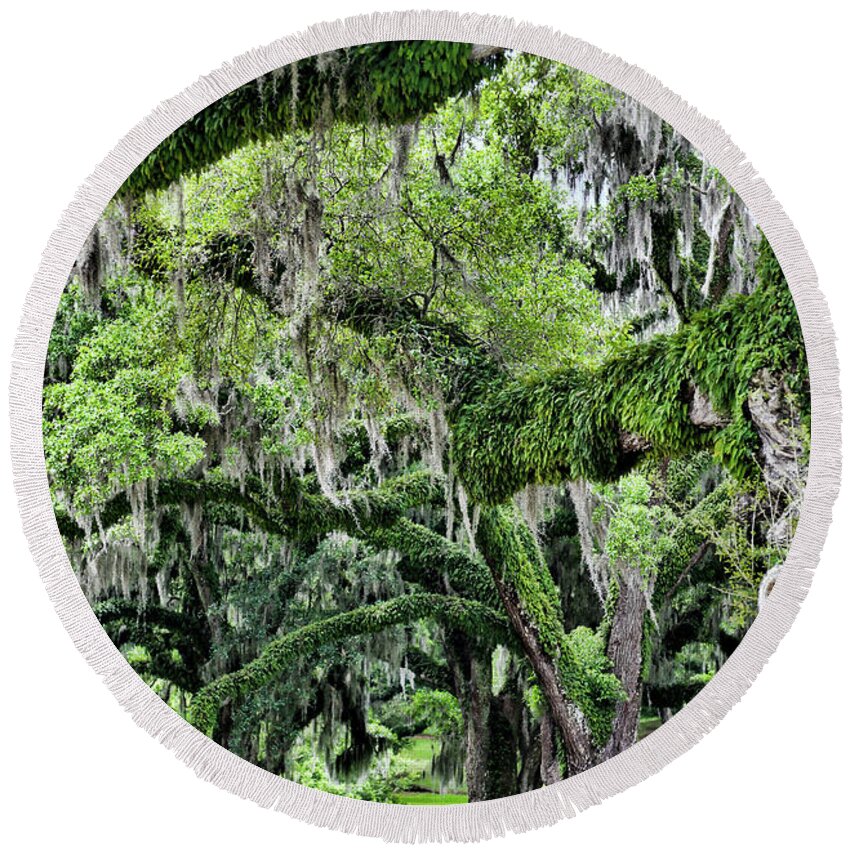 Avery Island Round Beach Towel featuring the photograph Oak Moss Trees by Chuck Kuhn