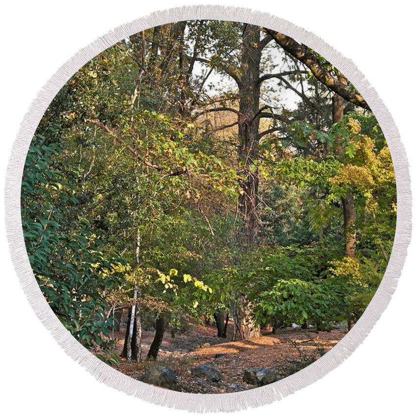 Landscape Round Beach Towel featuring the photograph October Evening by Michele Myers