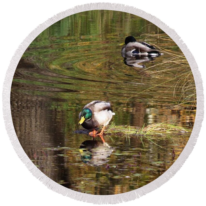 Autumn Pond Reflections Round Beach Towel featuring the photograph October Sun Moment by I'ina Van Lawick