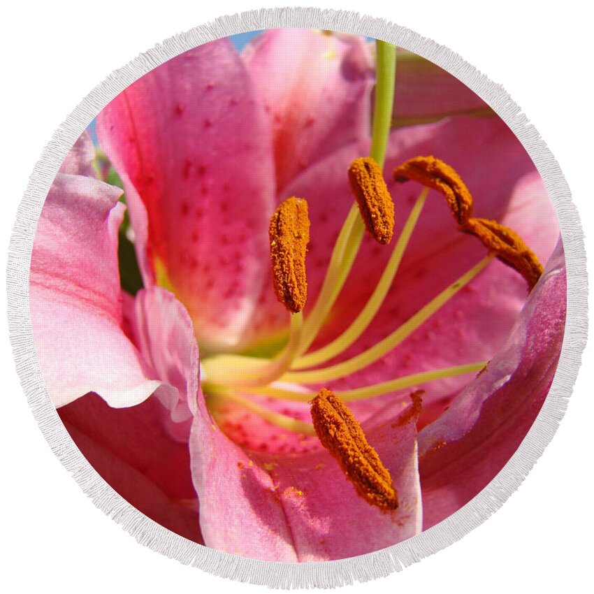 Lilies Round Beach Towel featuring the photograph OFFICE ART Calla Lily Flower Wall Art Floral Baslee Troutman by Patti Baslee