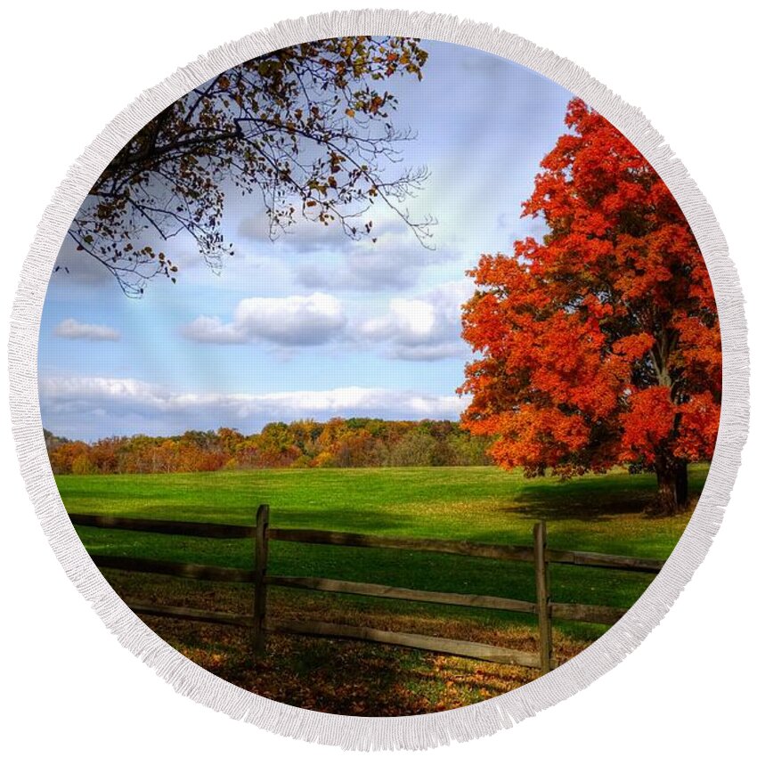 Autumn Round Beach Towel featuring the photograph Oh beautiful tree by Ronda Ryan