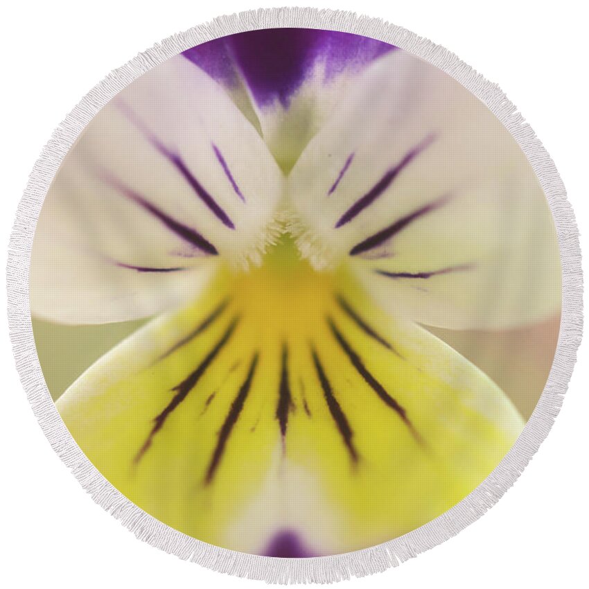 Violet Round Beach Towel featuring the photograph Oh, Violet Close-Up Botanical / Nature / Floral Photograph by PIPA Fine Art - Simply Solid