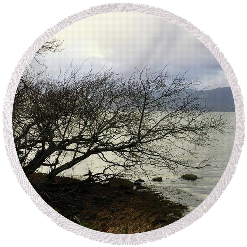 Mobile Photography Round Beach Towel featuring the photograph Old Tree by the Bay by Chriss Pagani