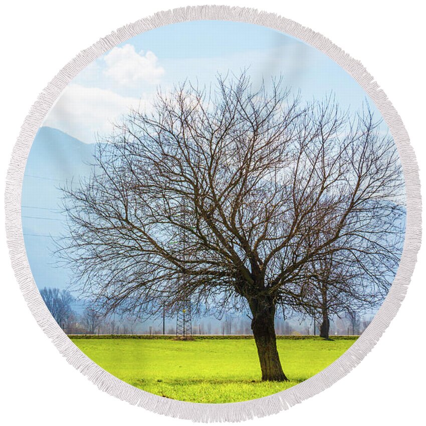 Dubino Round Beach Towel featuring the photograph Old Tree by Pavel Melnikov