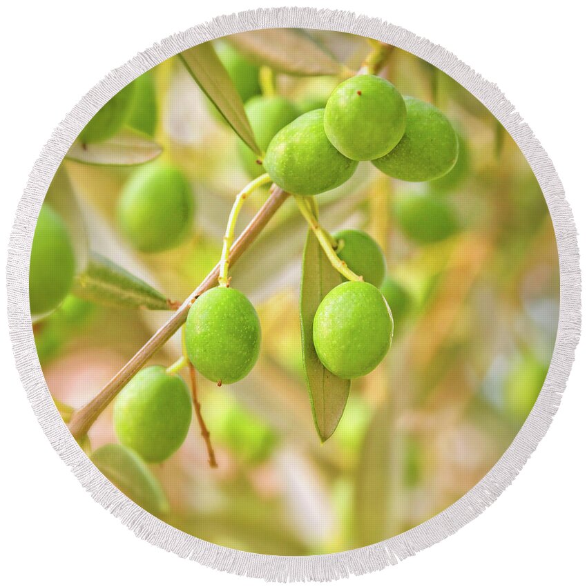 Olive Tree Round Beach Towel featuring the photograph Olives by Delphimages Photo Creations