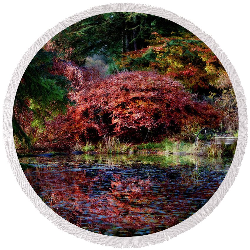 Botanical Round Beach Towel featuring the photograph On a Lone Autumn Evening by Venetta Archer