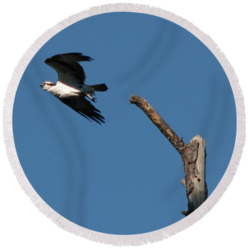 Nature Round Beach Towel featuring the photograph On a Mission by Peggy Urban