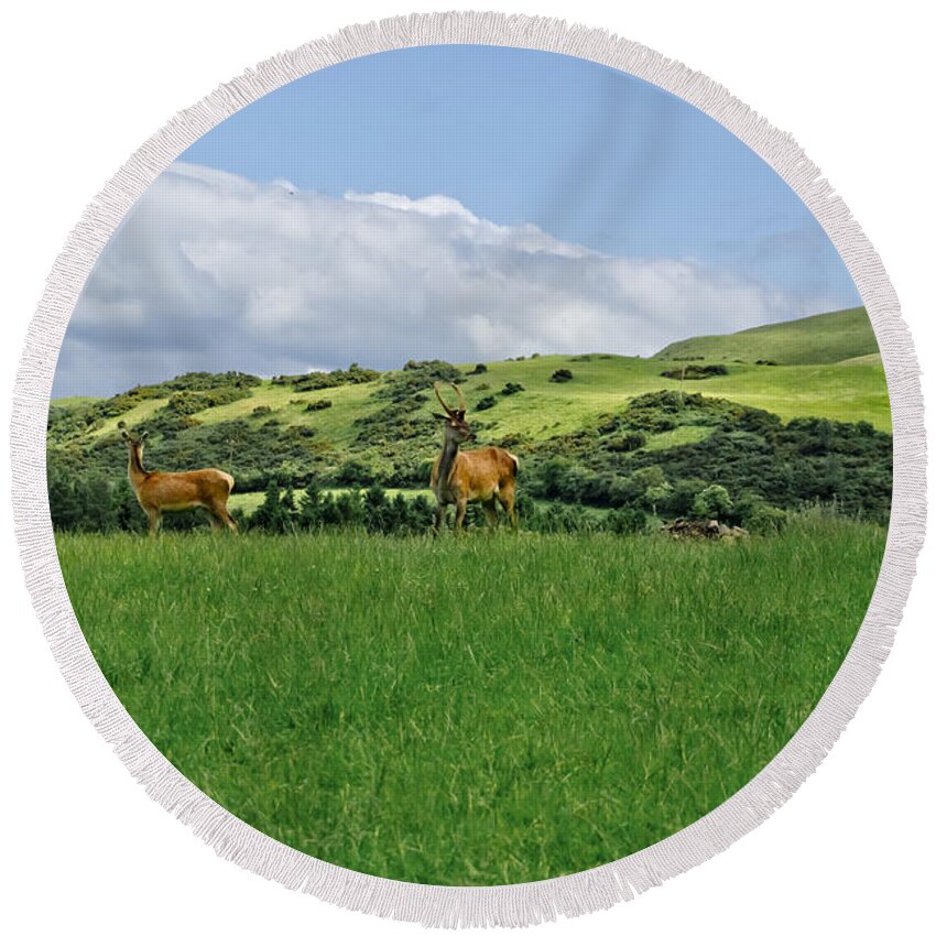 Beecraigs Round Beach Towel featuring the photograph On the look-out. by Elena Perelman