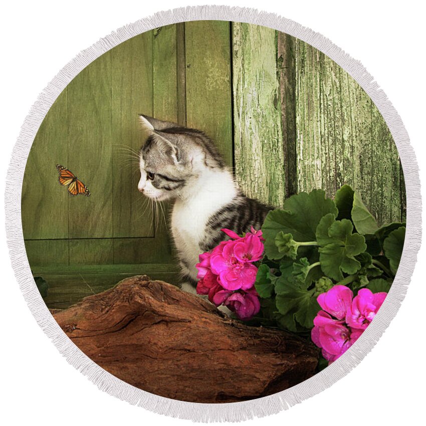 Kitten Round Beach Towel featuring the photograph One Cute Kitten Waiting At The Door by Ethiriel Photography