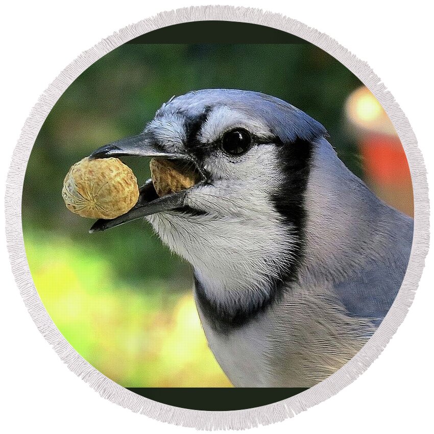 Blue Jay Round Beach Towel featuring the photograph One for the Road by Linda Stern