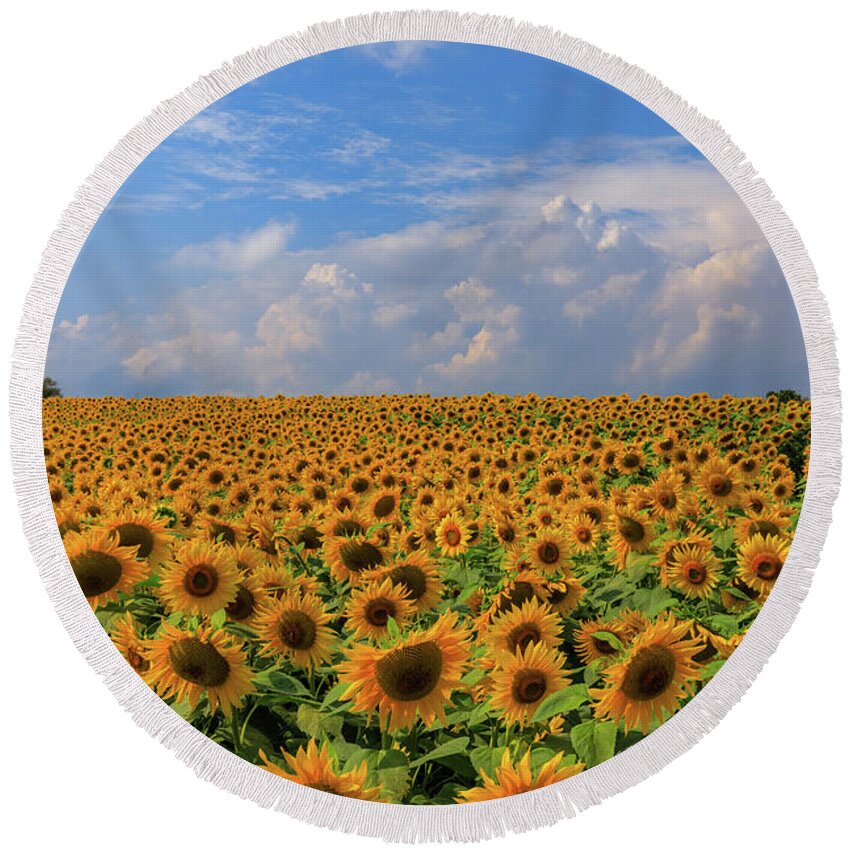 Personality Round Beach Towel featuring the photograph One in a Million by Rob Davies