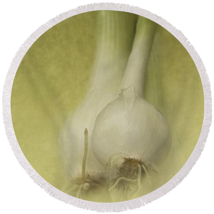 Onion Round Beach Towel featuring the photograph Onions by Pam Holdsworth