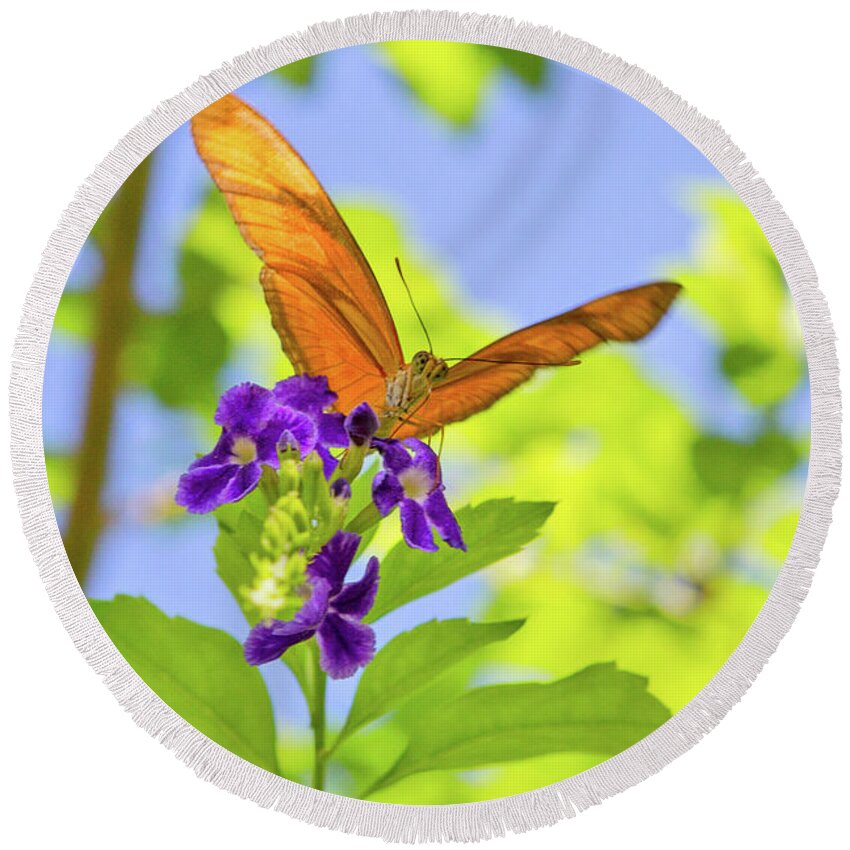 Butterfly Round Beach Towel featuring the photograph Only Have Eyes for You by A New Focus Photography