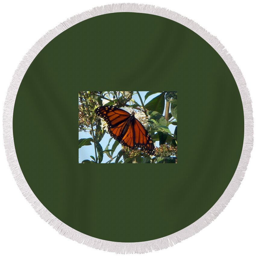 Butterfly Round Beach Towel featuring the photograph Opened Wings by CAC Graphics
