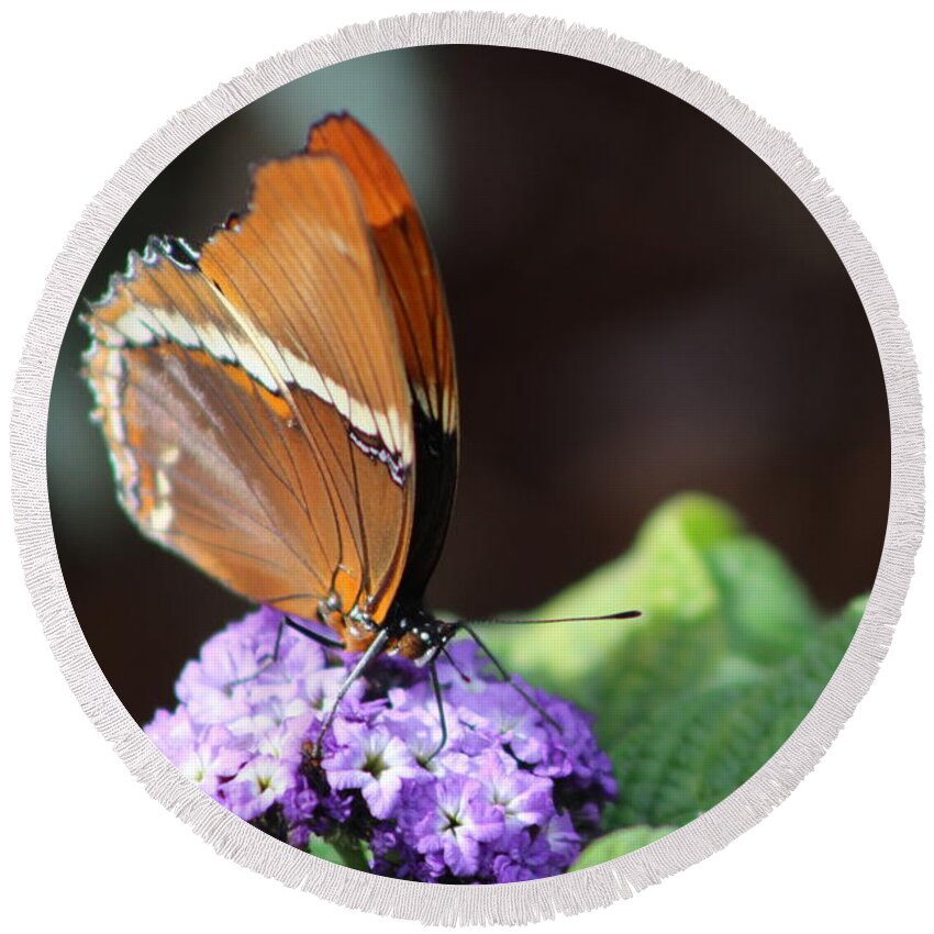 Brown Butterfly Round Beach Towel featuring the photograph Orange and Brown Butterfly on Purple by Colleen Cornelius