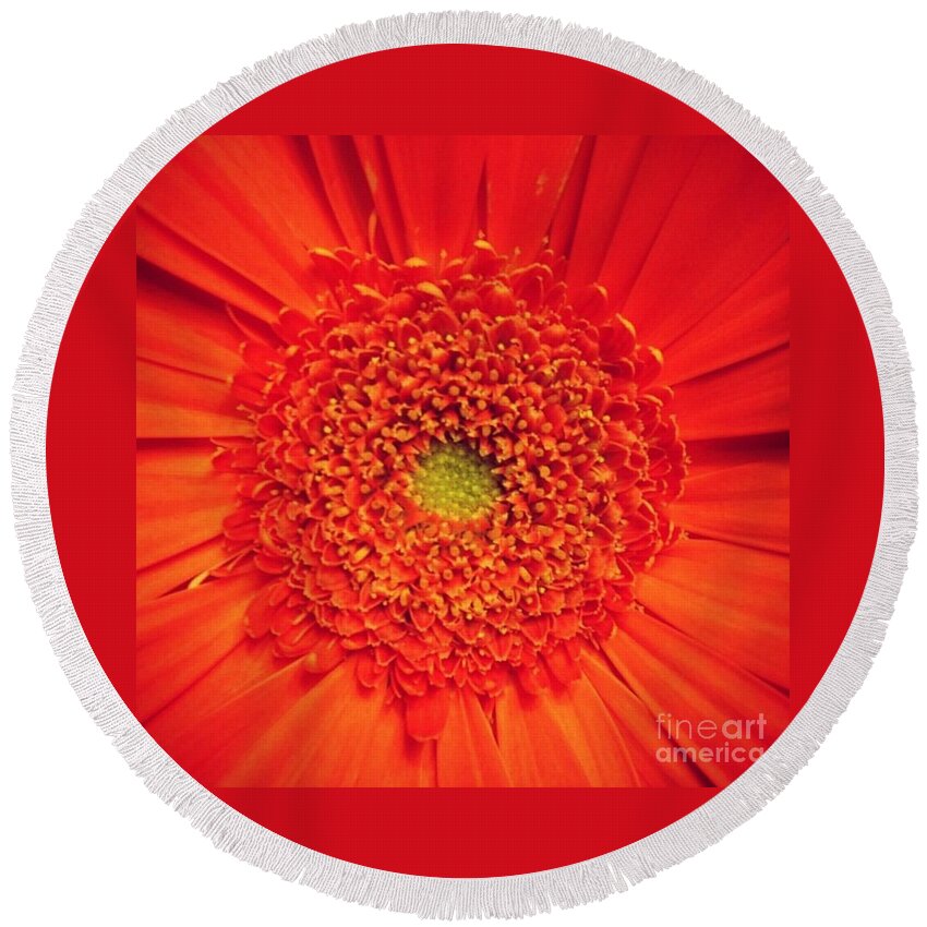Flower Round Beach Towel featuring the photograph Orange for Andy by Denise Railey