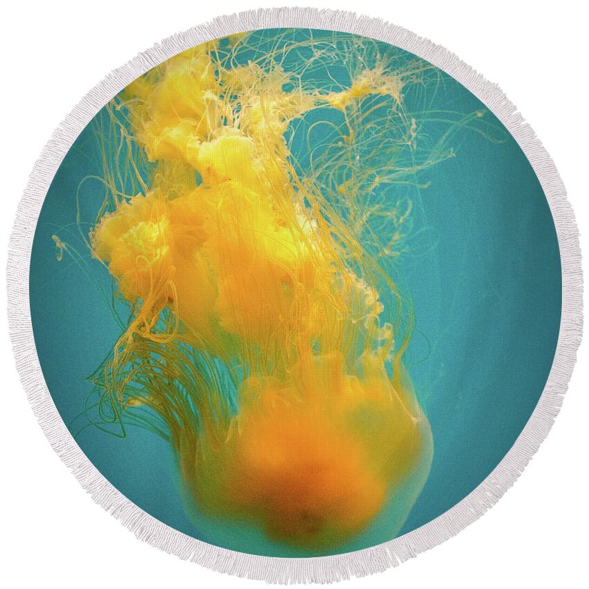 Jellyfish Round Beach Towel featuring the photograph Orange Jelly by Cheryl Del Toro