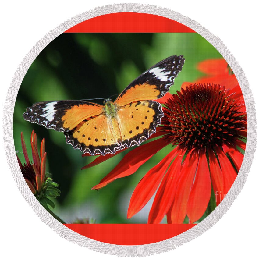 Butterfly Round Beach Towel featuring the photograph Orange Lacewing by Paula Guttilla